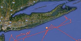 How to get to fire island from brooklyn. Mary Lee The Great White Shark Headed Toward Fire Island Fire Island Ny Patch