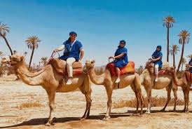 Begin this fabulous experience from marrakech with a pick up from your hotel. Marrakech Day Trips Desert Trip From Marrakech Click Excursions