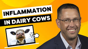 Dr. Corwin Nelson: Vitamin D & Immunity