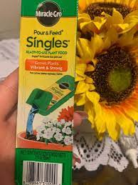 They grow to be 1′ x 1′. Can I Give Regular Miracle Grow To An Aloe Plant What About A Cactus Hometalk