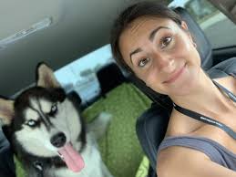 San Diego Dog Rescue