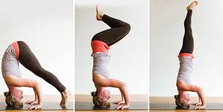 It is an important part of indian religions how to do the headstand yoga pose. Headstand Sirsasana Ii Yoga Lily Yoga Qigong Wellness