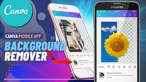 Try canva pro for 30 days. How To Remove Backgrounds In The Canva Mobile App Youtube