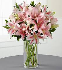 James Wilson Obituary (2018)