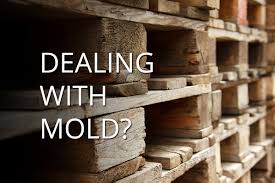 Excellent ideas with reused wood pallets. Pallet Mold Discover How To Prevent Inhibit And Remediate Mold On Wood Pallets Conner Industries