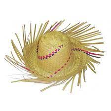 Kit C/ 10 Chapéu de Palha Desfiado Adulto Festa Junina Arraiá em Promoção na Americanas