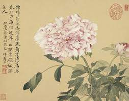 peonies yun shouping 1633 1690 qing dynasty album leaf ink and colors on paper 26 3 x 33 4 cm pfingstrosen malerei wie man blumen malt idee farbe