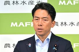 小泉進次郎氏に衝撃！地元で自民党員が大量離党？ステマ疑惑も - Imagen principal del artículo