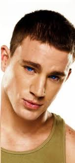 A Wolf's Embrace: The Swan Siblings