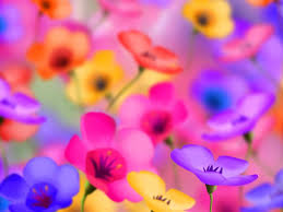 Set these wallpapers and watch turning of sunflowers during a day as well as small colorful butterflies flattering from one flower to. 3d Flower Wallpapers Wallpaper Cave
