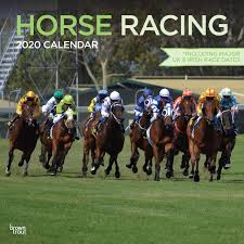 Horse Racing 2020 12 X 12 Inch Monthly Square Wall Calendar Animals Horses Horse Equestrian Browntrout Publishers Inc Browntrout Publishers Editing Team Browntrout Publishers Design Team Browntrout Publishers Design Team 9781789930634 Amazon