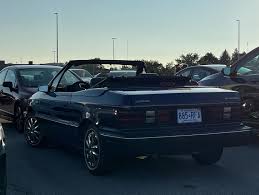 Image result for Black Cherry 1991 Shadow