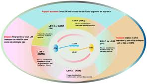 Image result for LDH