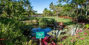 Naples Botanical Garden Information Must Do Visitor Guides