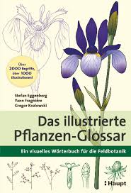 Gefäßpflanzen werden weiter unterteilt in bärlapppflanzen (lycopodiopsida), farne (polypodiopsida) und samenpflanzen (spermatophytina) bzw. Das Illustrierte Pflanzen Glossar Haupt Online Buchshop