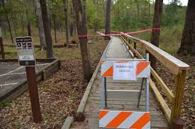 $2.4 million has been allocated to build … the sam houston national forest, one of four national forests in texas, is located 50 miles north of houston. National Forests In Piney Woods Closing Some Trails Campsites Texas Highways