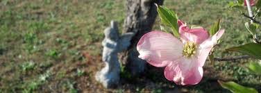 J.K. Redmond Funeral Home