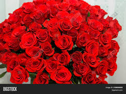 Show your love with romantic gifts, flowers, and bouquets for that special someone. Background Many Red Image Photo Free Trial Bigstock