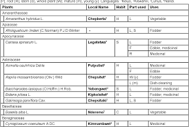 Image result for Afroligusticum