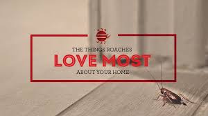 Is a local company with an excellent reputation. Pest Control The Bug Man Pest Control Louisiana