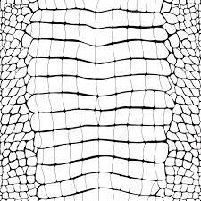 Crocodile Skin Black And White Seamless Pattern Stock Photo, Picture And  Royalty Free Image. Image 119719674.