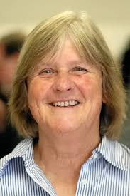 Election 2018: Santa Cruz City Council candidates take positions