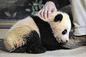 Pin On Zapisane Przeze Mnie