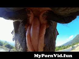 Neymar, कस ट क र क टमध य व क रम व ळ श न य वर ब द झ ल ह फल द ज. à¤¹ à¤¥ à¤• à¤® à¤° Gopro à¤à¤² à¤« à¤Ÿà¤¨ à¤¯ à¤œ à¤• à¤¸ à¤¥ à¤¬ à¤¦ à¤•à¤° From à¤œ à¤¨à¤µà¤° à¤• à¤¸à¤• à¤¸ à¤µ Watch Video Mypornvid Fun