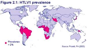 Image result for HTLV1