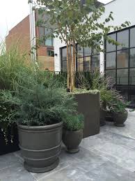 Tribeca Rooftop Garden Designed By Lindsey Taylor Rooftop Garden Garden Design Plants