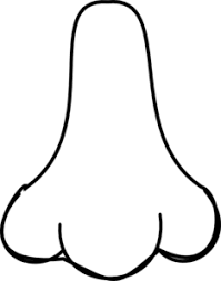 Nose Clip Art Clip Art Clip Art