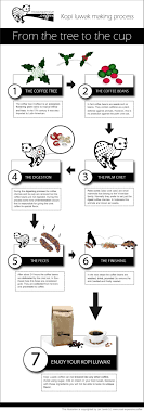 Kopi Luwak Coffee Is The World S Most Expensive Coffee However Its Processing Is Very Unusual It Is Made From Beans Coffee Beans Coffee Drinks Civet Coffee