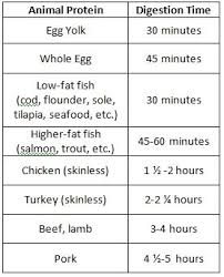 Digesting Animal Protein In 2019 Food For Digestion Food