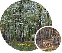 Private Gated Community in Tyler, TX