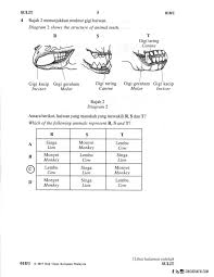 4:23 astro ceria 2 946 513 просмотров. Jawapan Dan Soalan Upsr Sains Kertas 1 2017 Koleksi Grafik Untuk Guru