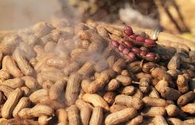 Rinse these fellas well since they have lots of dirt on 'em. Recipe For Boiled Peanuts Lovetoknow