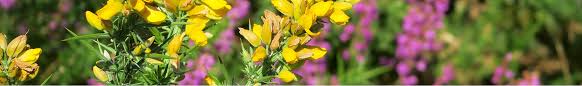 Les vignobles en culture bio sont en pleine expansion, choisissez d'investir dans un domaine viticole conduit en culture bio. Acheter En Ligne Les Meilleurs Produits Bio Bretons Henaff Co