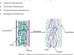 Apr 01, 2013 · lignin, the second most abundant natural polymer found at 25 to 35% (dry weight) in lignocellulosic biomass (lavoie et al., 2011), is mostly composed of phenyl propane units. Pdf Key Methods For Pretreatment Of Lignocellulosic Biomass An Overview Semantic Scholar