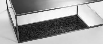 Image result for Diospyros crassiflora