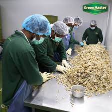 Track record and a proud reputation catering to the needs of airline caterers, hotels and restaurant chains as well as hypermarkets in terms of fresh vegetables, frozen food and dairy products. Green Master Global Fine Food Sdn Bhd Home Facebook