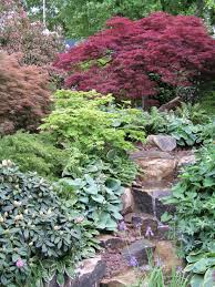 Zierahorn Traumhafte Herbstfarben Gartenschirme Design Kleiner Garten Zierahorn