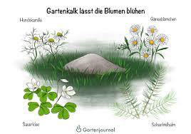 Dazu wird der sand in den boden eingearbeitet. Gartenkalk Einsetzen Pflanzen Bilder Anleitungen Und Mehr