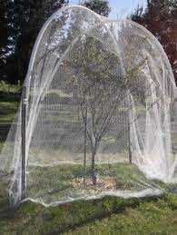 You can make a frame to hold the netting away from the branches or you can drape the net directly over the tree. 42 Best Garden Netting Ideas Garden Netting Garden Veggie Garden