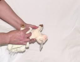 How to disinfect a beanie baby? How To Wash And Clean Ty Beanie Babies Wehavekids