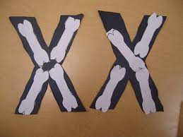 No glue or tape required! Letter X Craft Google Search Alphabet Letter Crafts Letter A Crafts Letter X Crafts
