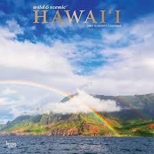 Hawaii Wall Calendar In 2020 Wall Calendar Brown Trout Hawaii