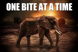 One Bite At A Time The Book Of Kevin