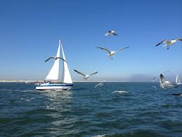 Check spelling or type a new query. Pengertian Angin Darat Dan Angin Laut Serta Fungsinya Bagi Kehidupan Kumparan Com