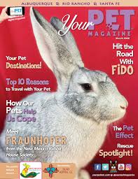 In the unfortunate event your pet passes suddenly at home, you may consider taking your pet to an emergency vet clinic. Your Pet Magazine March 2020 By Your Pet Magazine Issuu