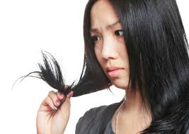Qbg 30ml anti hair loss hair regrowth essence gincger oil chinese herb treatment. Bid Goodbye To Hair Loss Problems With Chinese Herbs Health News Asiaone